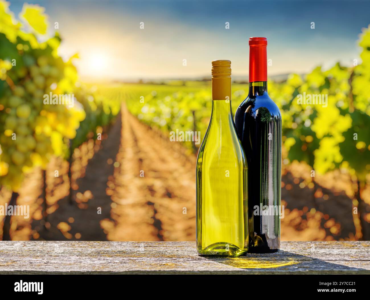 Flaschen Rot- und Weißwein vor einem sonnigen Weinberg. Der Weinberg erstreckt sich bis in die Ferne, mit Weinreben, die unter warmem Sonnenlicht leuchten. Stockfoto