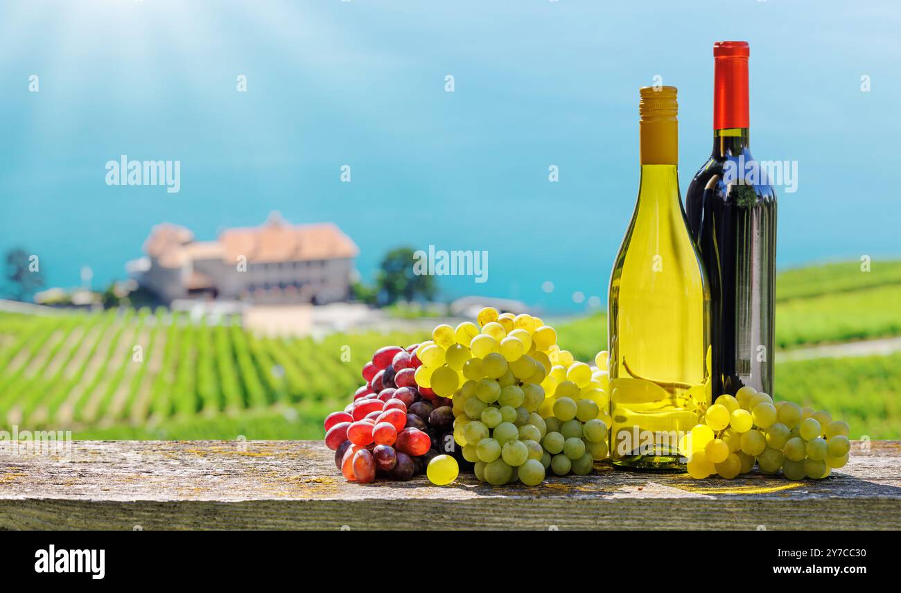 Flaschen Rot- und Weißwein vor einem sonnigen Weinberg. Der Weinberg erstreckt sich bis in die Ferne, mit Weinreben, die unter warmem Sonnenlicht leuchten. Stockfoto