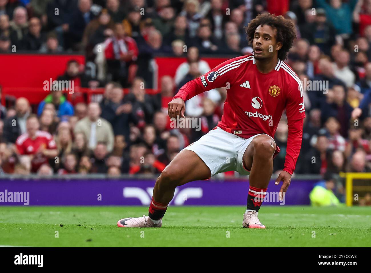 Joshua Zirkzee von Manchester United während des Premier League Spiels Manchester United gegen Tottenham Hotspur in Old Trafford, Manchester, Vereinigtes Königreich, 29. September 2024 (Foto: Mark Cosgrove/News Images) Stockfoto