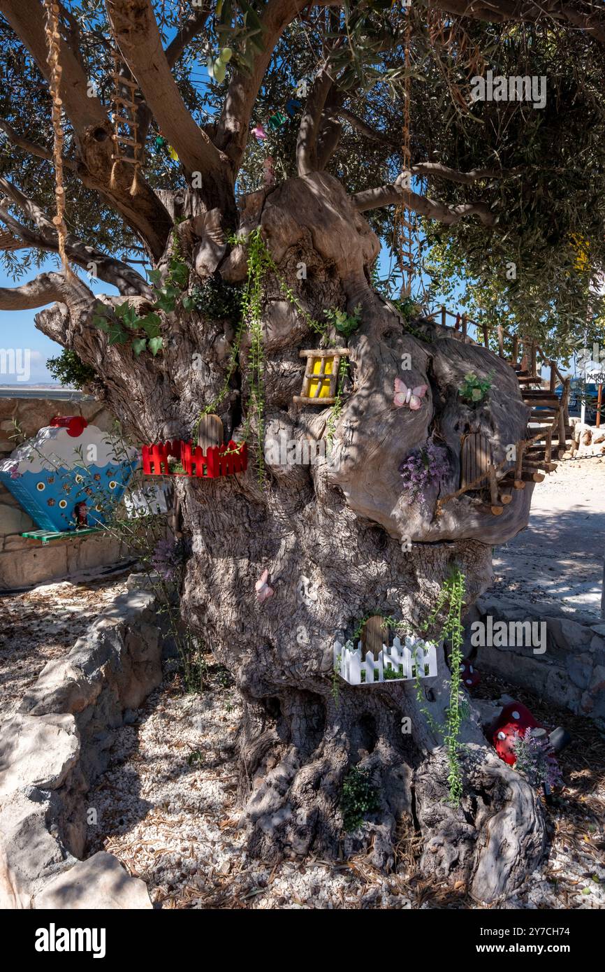 Feenbaumhaus. Der alte Olivenbaum wurde von Stephen Haughan verziert, um ein Feenhaus in der Nähe von Droushia, Zypern, zu schaffen. Stockfoto