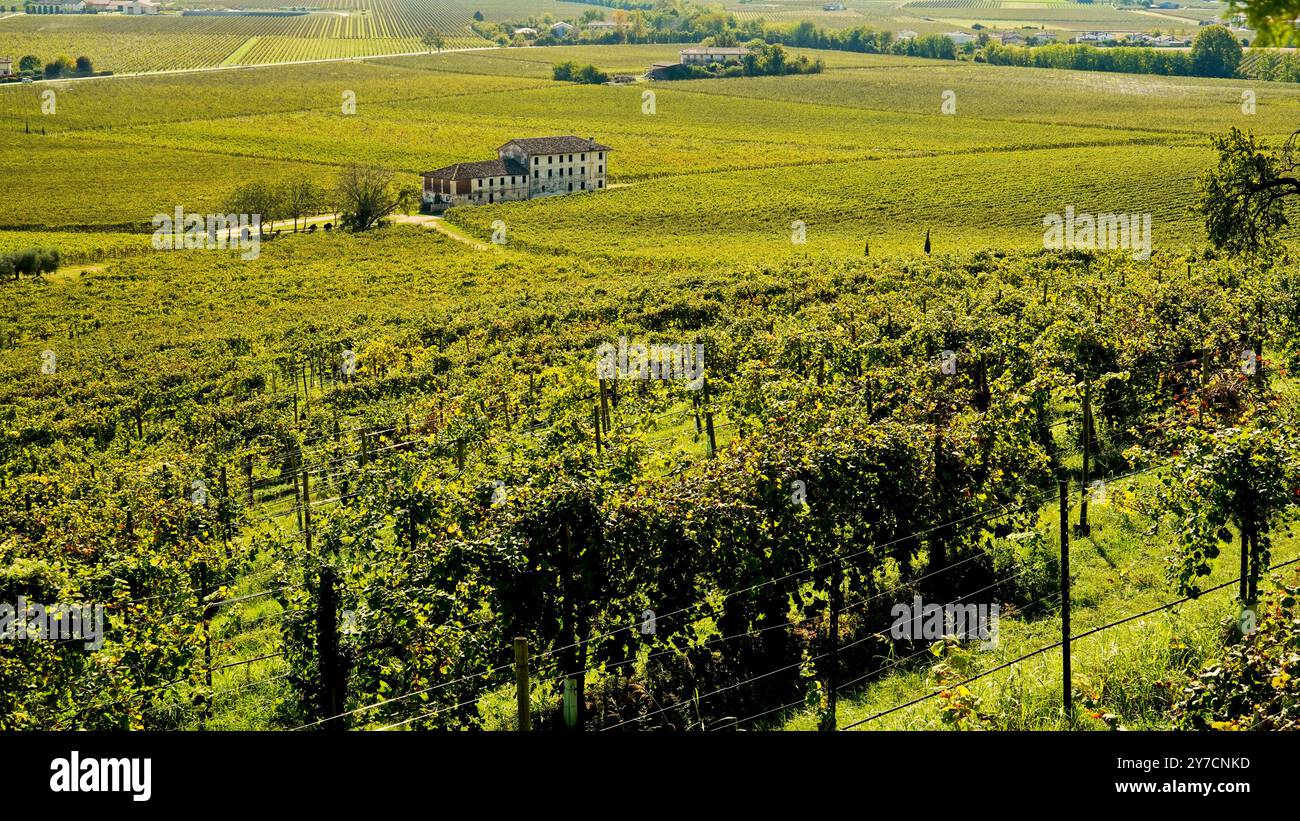 Schloss San Salvatore, Collalto, Treviso. Veneto, Italien Stockfoto