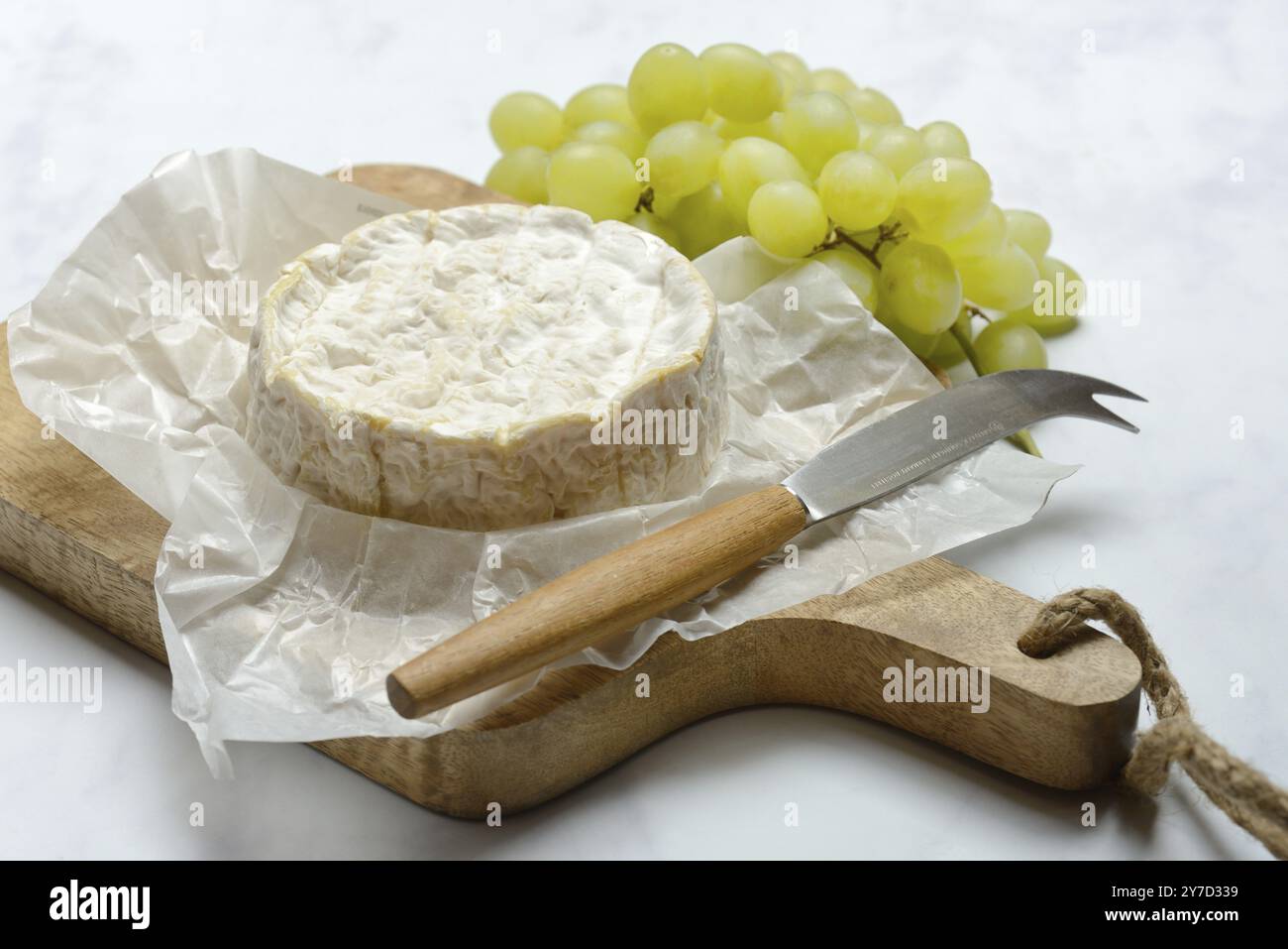 Französischer Camembert, Käse auf einem Holzbrett Stockfoto