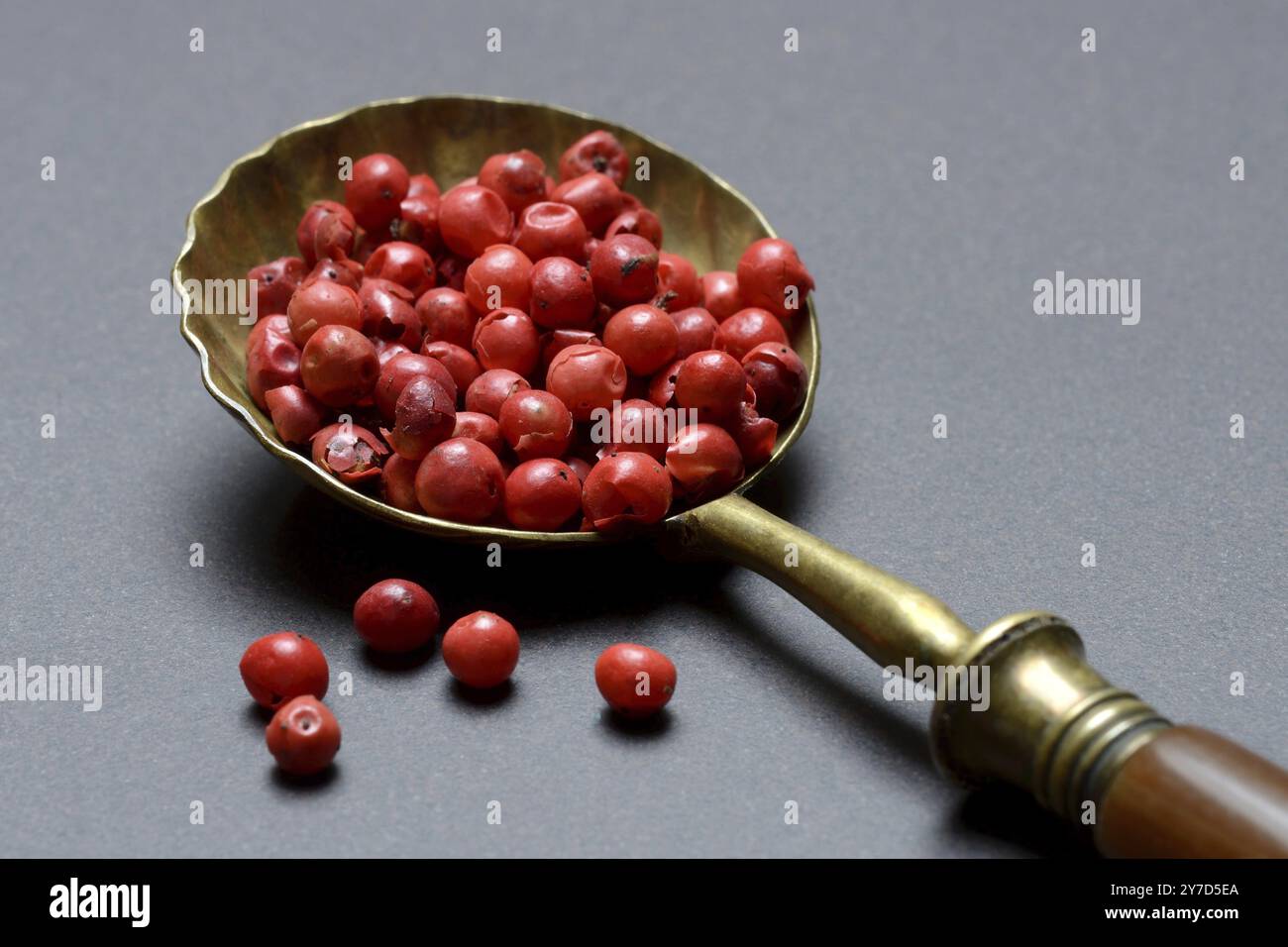Rosa Pfefferbeeren, roter Pfeffer im Löffel, Schinus-Beeren Stockfoto