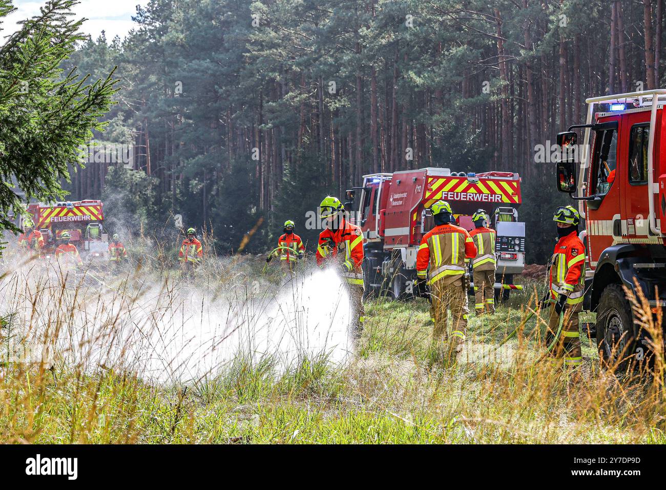 Länderübergreifende Großübung Eichkater 2024: Niedersachsen und Bayern üben gemeinsam die Bekämpfung von Vegetationsbränden die Erde Waldbrandbekämpfung mit Fahrzeugen GFFF-V Einheit, Bodengebundene Vegetationsbrandbekämpfung unter Einbeziehung von Löschfahrzeugen, Niedersachsen üben die Brandbekämpfung mit Wasser aus Strahlrohren. Übungsgebiet Klosterforst Landkreis Celle, Niedersachsen *** Landesgroßübung Eichkater 2024 Niedersachsen und Bayern üben gemeinsam die Bekämpfung von Vegetationsbränden den Boden Waldbrandbekämpfung mit Fahrzeugen GFFF V Einheit, bodengebundenes Veget Stockfoto