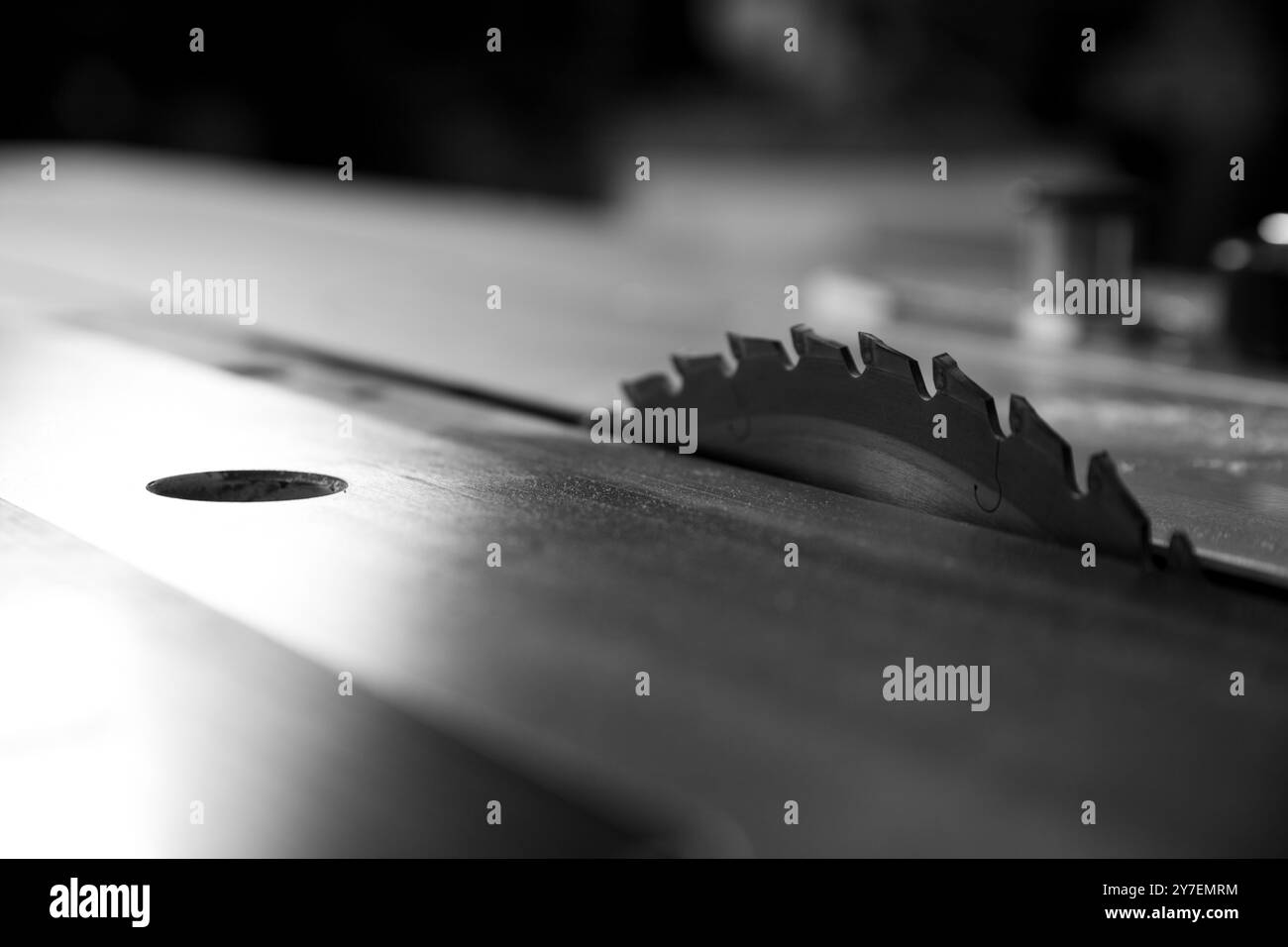 Nahaufnahme eines scharfen Kreissägeblatts, das auf einem Tisch in einer Werkstatt mit Sägemehl aufliegt. - Schwarz n weiß - Stockfoto
