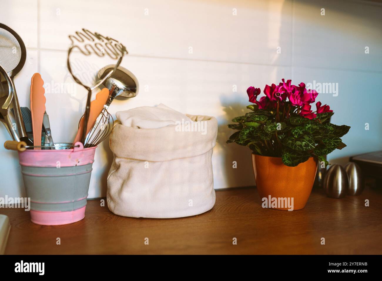 Blühende Zimmerpflanze Cyclamen dekorativ im Blumentopf auf Küchenarbeitsplatte Stockfoto