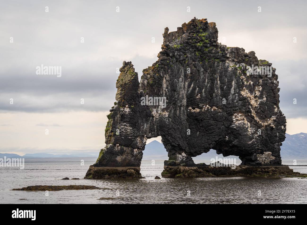 Der Hvitserkur Basalt Stack im Nordwesten Islands Stockfoto