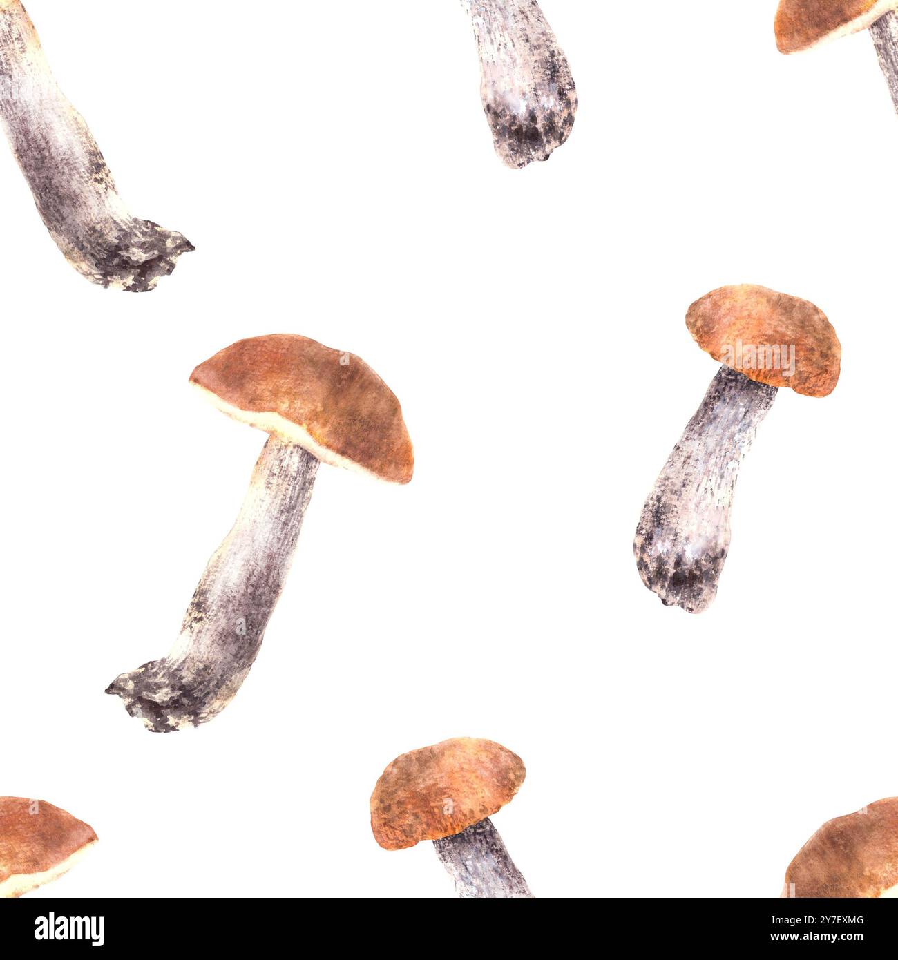 Boletus mit rotem, orangefarbenem Kappenmuster. Handgezeichnete Illustration mit Aquarell. Pilze, Wildwälder essbare Pilze. Herbstdesign für Tapeten Stockfoto