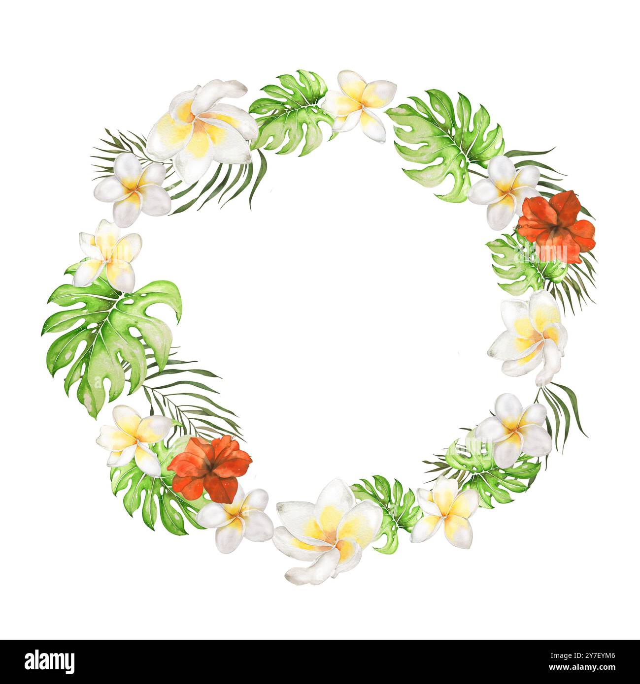 Tropical Flowers verlässt Plumeria und Hibiscus. Kranzrahmen. Botanische Illustration Mit Aquarell. Designelement für Karten, Einladungen, Websites, Blogs Stockfoto