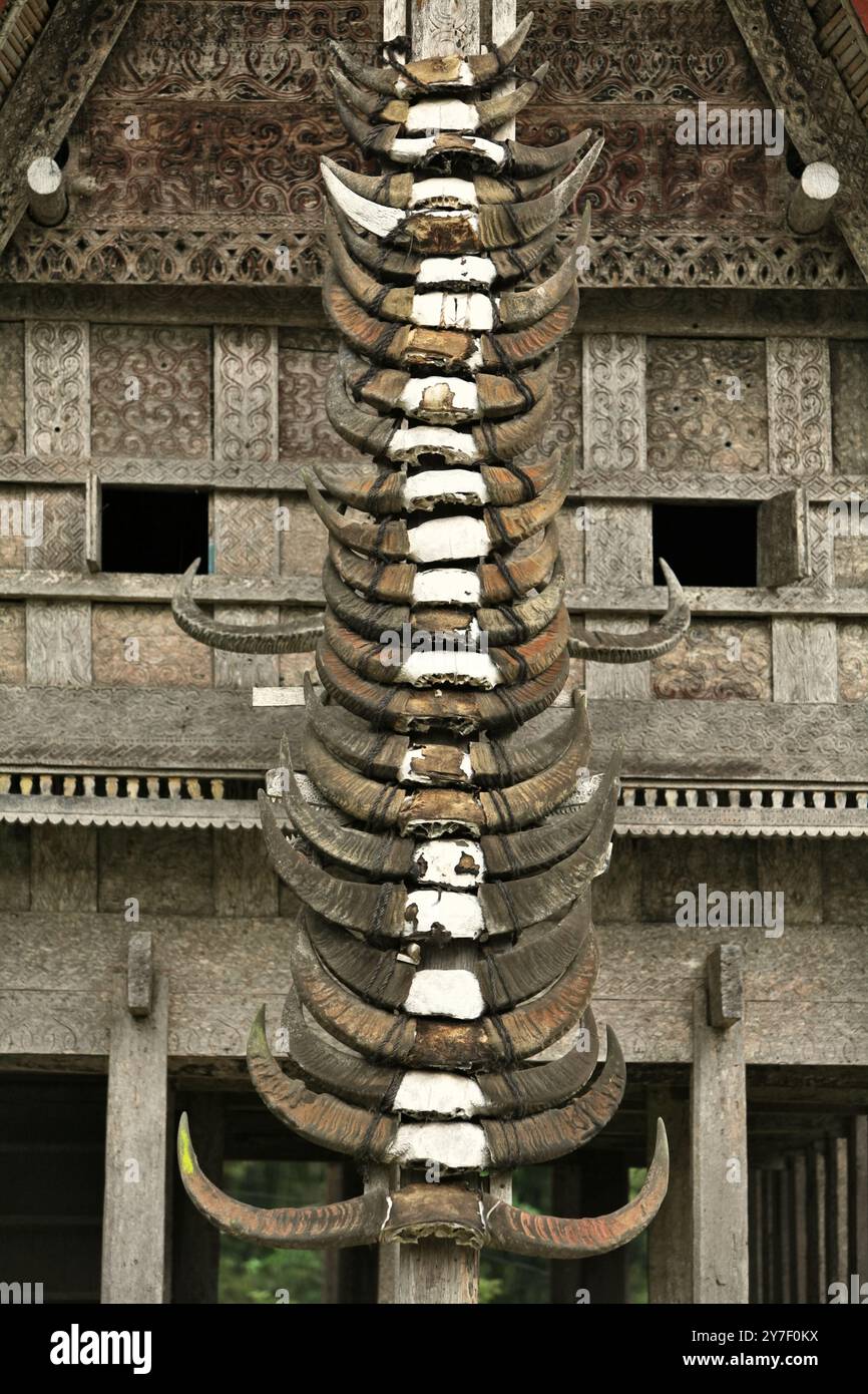 Wasserbüffelhörner vor einem Haus im traditionellen Dorf Kete Kesu in Nord-Toraja, Süd-Sulawesi, Indonesien. Stockfoto