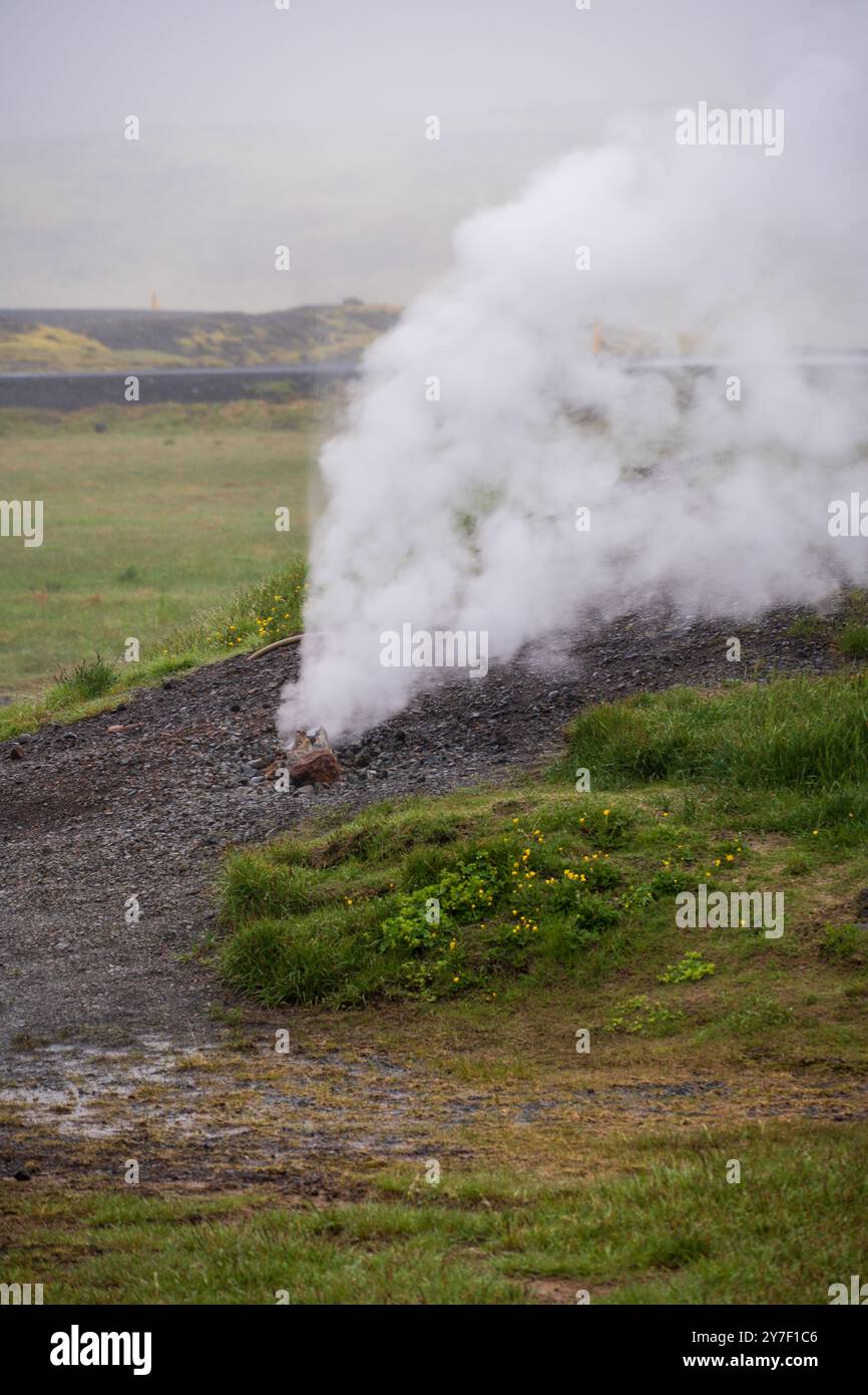 Das geothermische Gebiet von Hveradalir in Island an einem Nebelsommertag Stockfoto