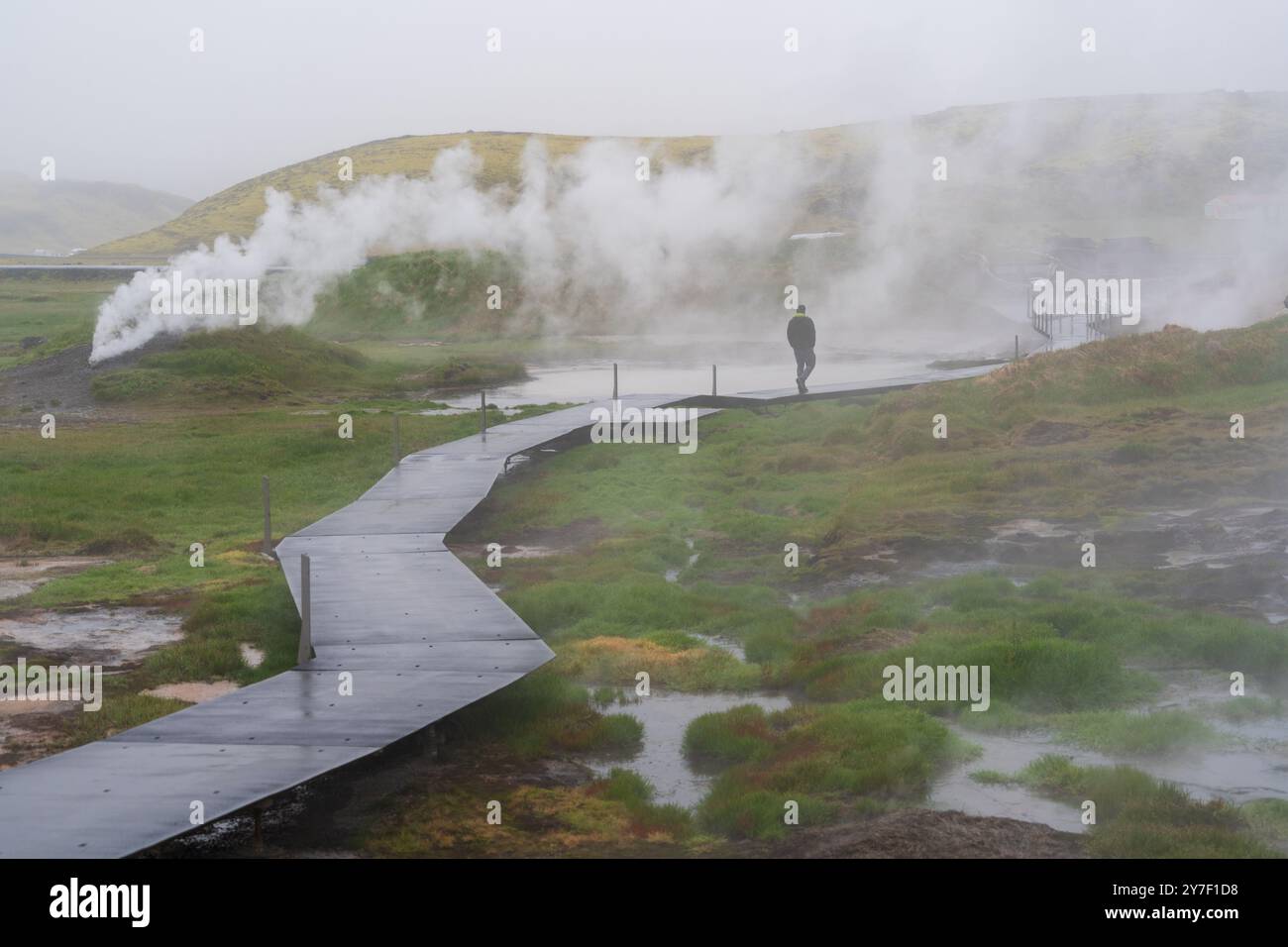 Das geothermische Gebiet von Hveradalir in Island an einem Nebelsommertag Stockfoto