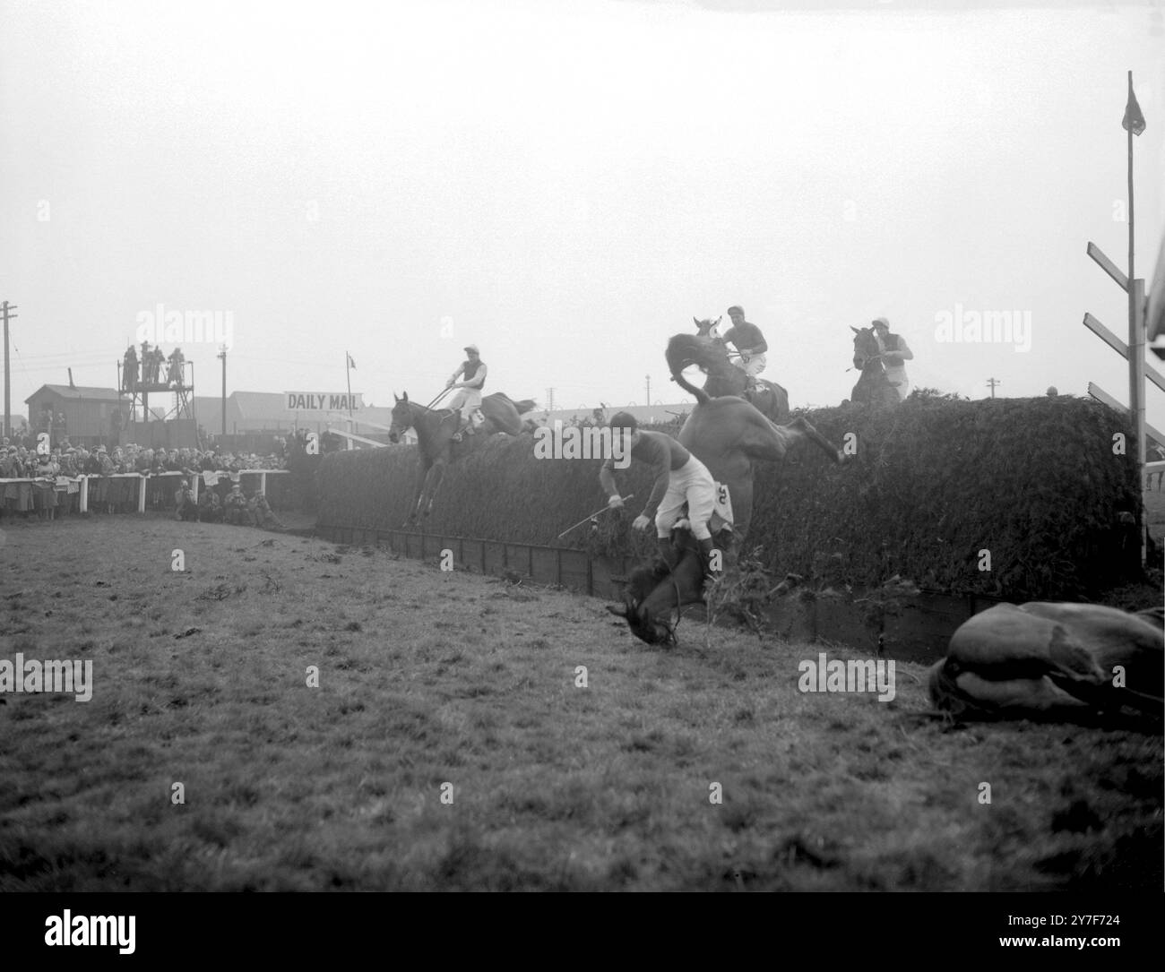 Das Pferd, das den größten Teil des Feldes im Grand National Steeplechase Surprise Packet unter G Scott führte, fällt am Bechers Brook. Sieger war Oxo. Nur vier Pferde schafften es, das Rennen zu beenden. März 1959 Stockfoto