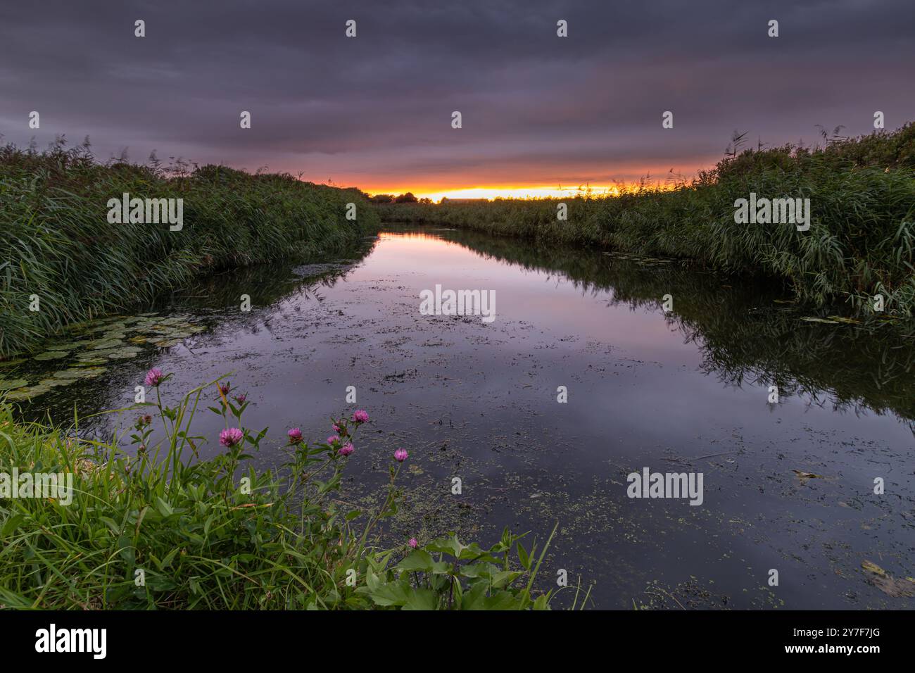 Die untergehende Sonne am Horizont lässt die feuchten Wolken noch bedrohlicher erscheinen, als sie es bereits sind. Das Wasser im Graben liegt ruhig, wie das ruhige bef Stockfoto