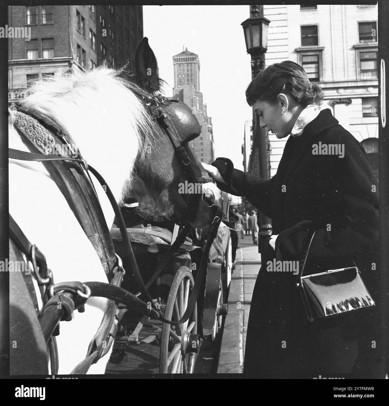 Audrey Hepburn besuchte 1952 New York, USA, wo sie 1952 in Gigi am Broadway in New York spielte. Sie ist auf dem Pferdekutschenstand am Central Park, Manhattan. Foto von George Douglas Stockfoto