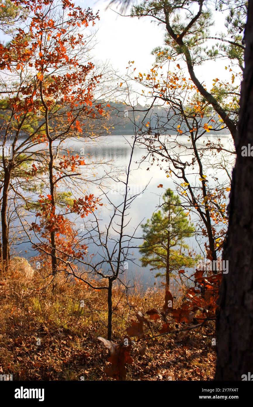 Herbstabend Mit Blick Auf Den See Durch Die Bäume Stockfoto