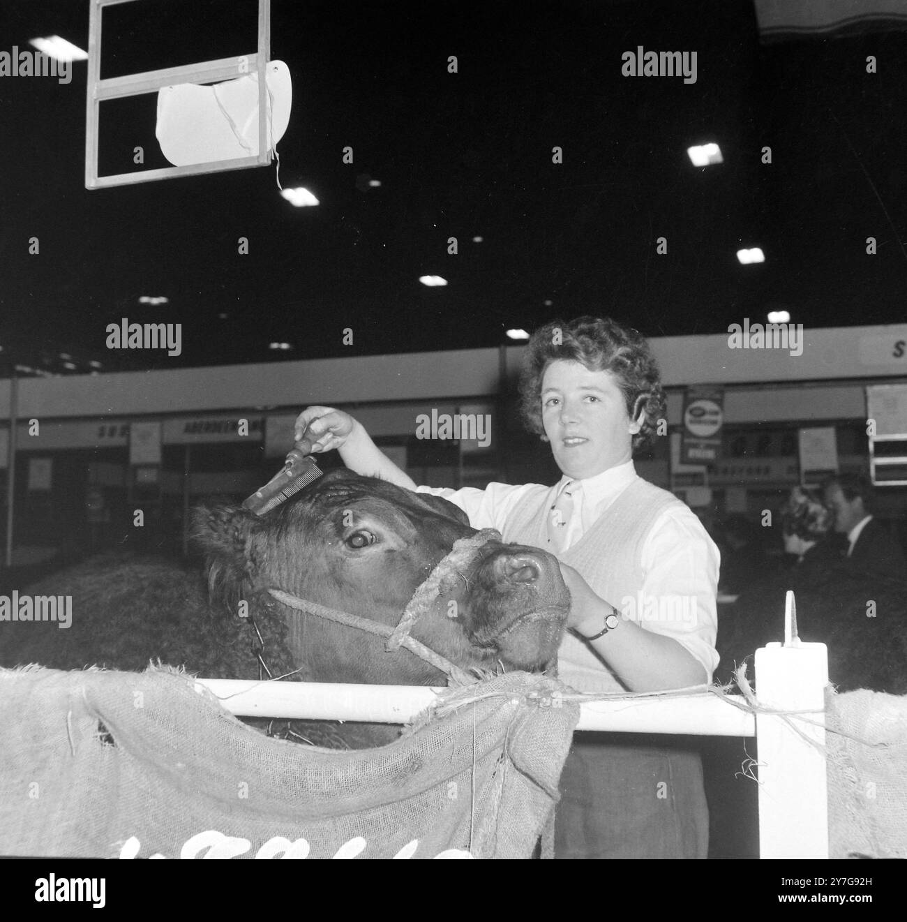 MURIEL JOHNSON BEI DER SMITHFIELD SHOW / ; 7. DEZEMBER 1964 Stockfoto