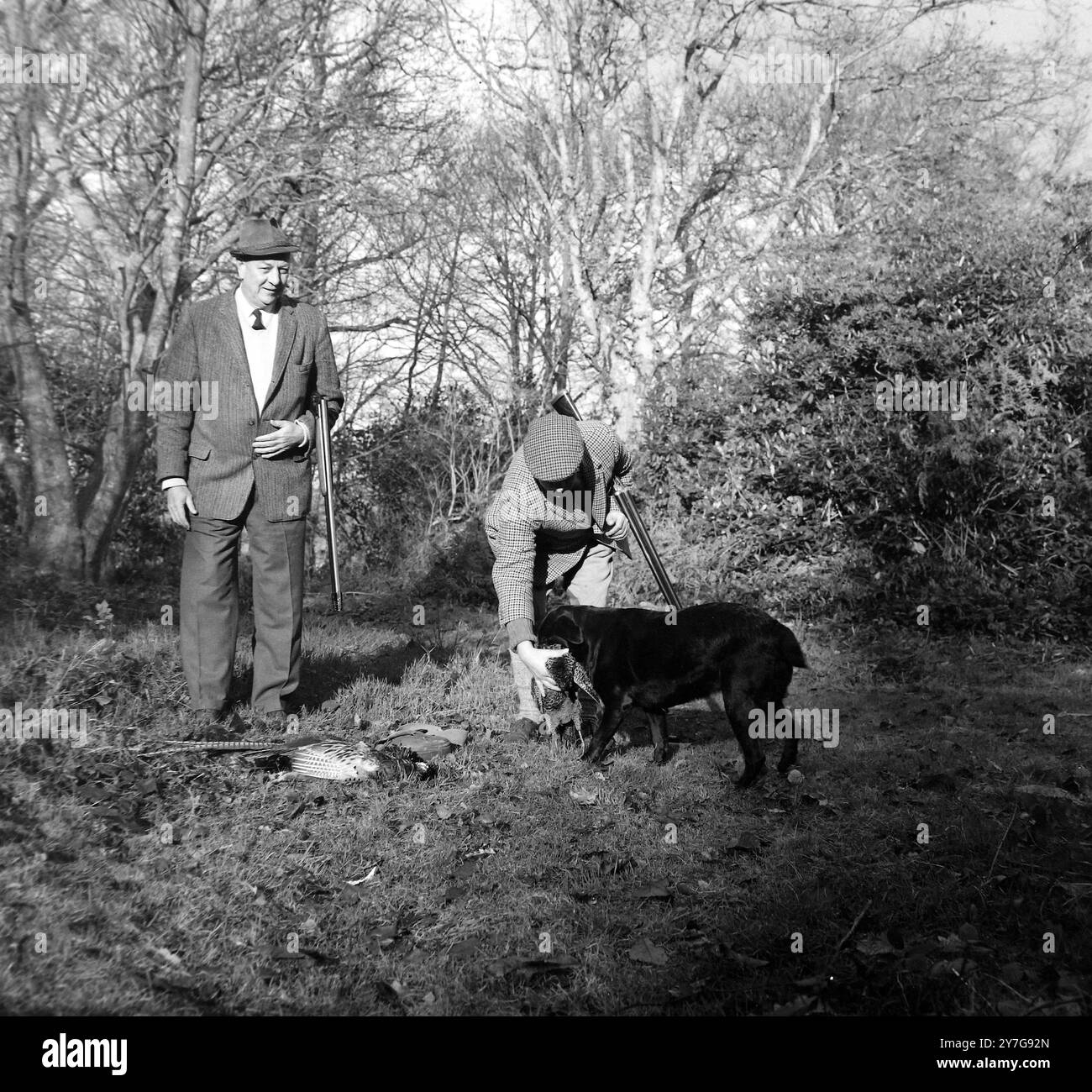 DOYLE JOHNSON MIT STADDON GERALD SCHIESST FASAN IN THORVENRTON / ; 7. DEZEMBER 1964 Stockfoto