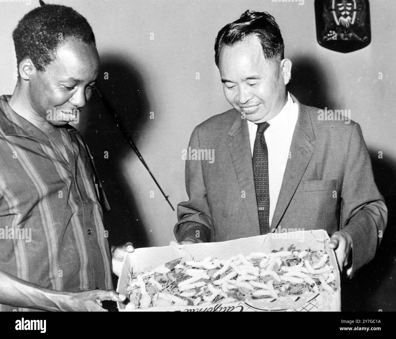 POLITIK JULIUS NYERERE PRÄSIDENT ZEIGTE SEIDENWORM VOM CHINESISCHEN BOTSCHAFTER IN DAR ES SALAAM, TANGANJIKA; 25. NOVEMBER 1964 Stockfoto