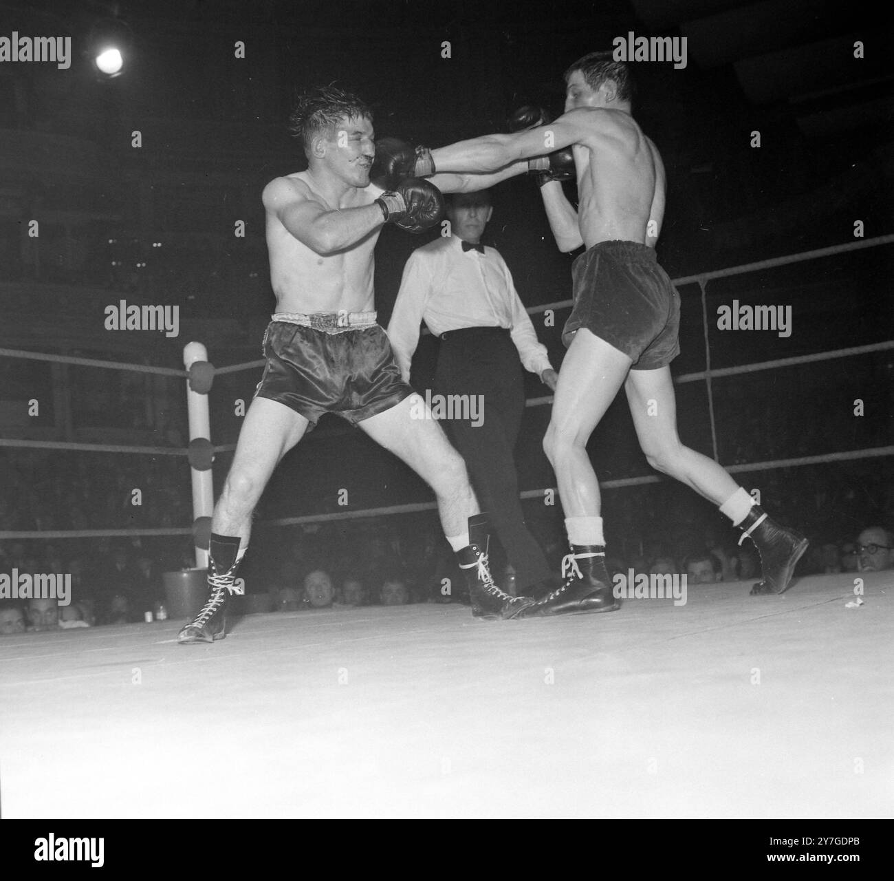 BOXFEDERGEWICHT GEORGE BOWES G V FRANKIE TAYLOR F IN ALBERT HALL ACTION IN LONDON; 16. NOVEMBER 1964 Stockfoto