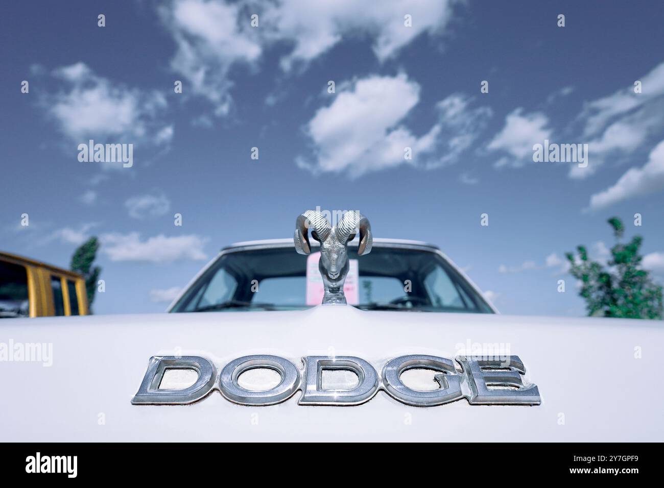 Sulechow, Polen - 27. September 2024. Dodge-Logo auf einem Oldtimer zum Verkauf. Stockfoto