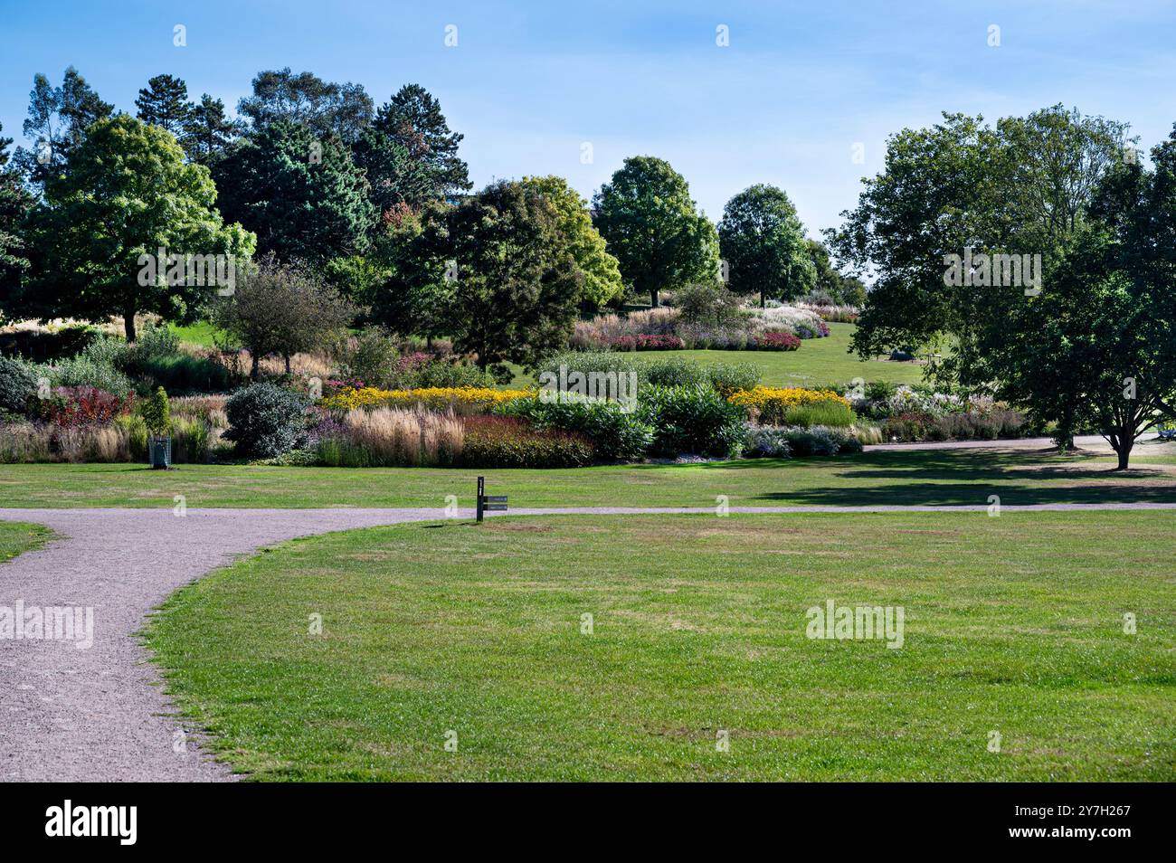 Royal Horticultural Society, Hyde Hall, Clover Hill. Spätsommer mit einer Masse von spätblühenden Stauden und Gräsern. Stockfoto