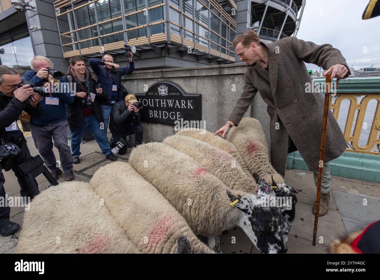Damian Lewis führt den London Sheep Drive über die Southwark Bridge, während Freemen of the City of London ihr Recht ausüben, Schafe über die Themse zu treiben. Stockfoto