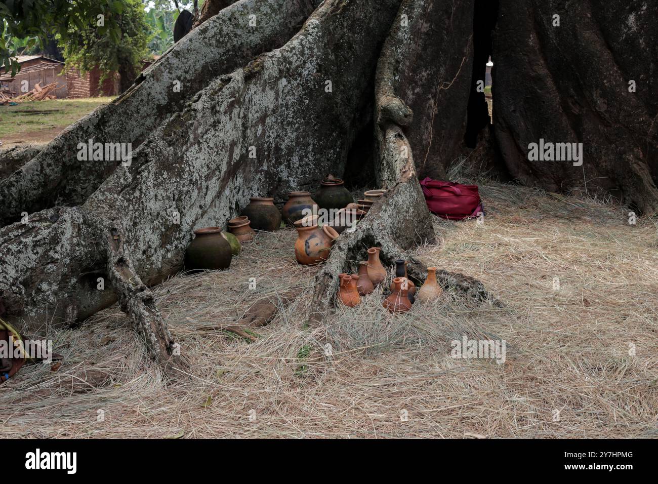 Kulturgüter (Ebyanzi) im Nakayima Tree in Mubende Stockfoto