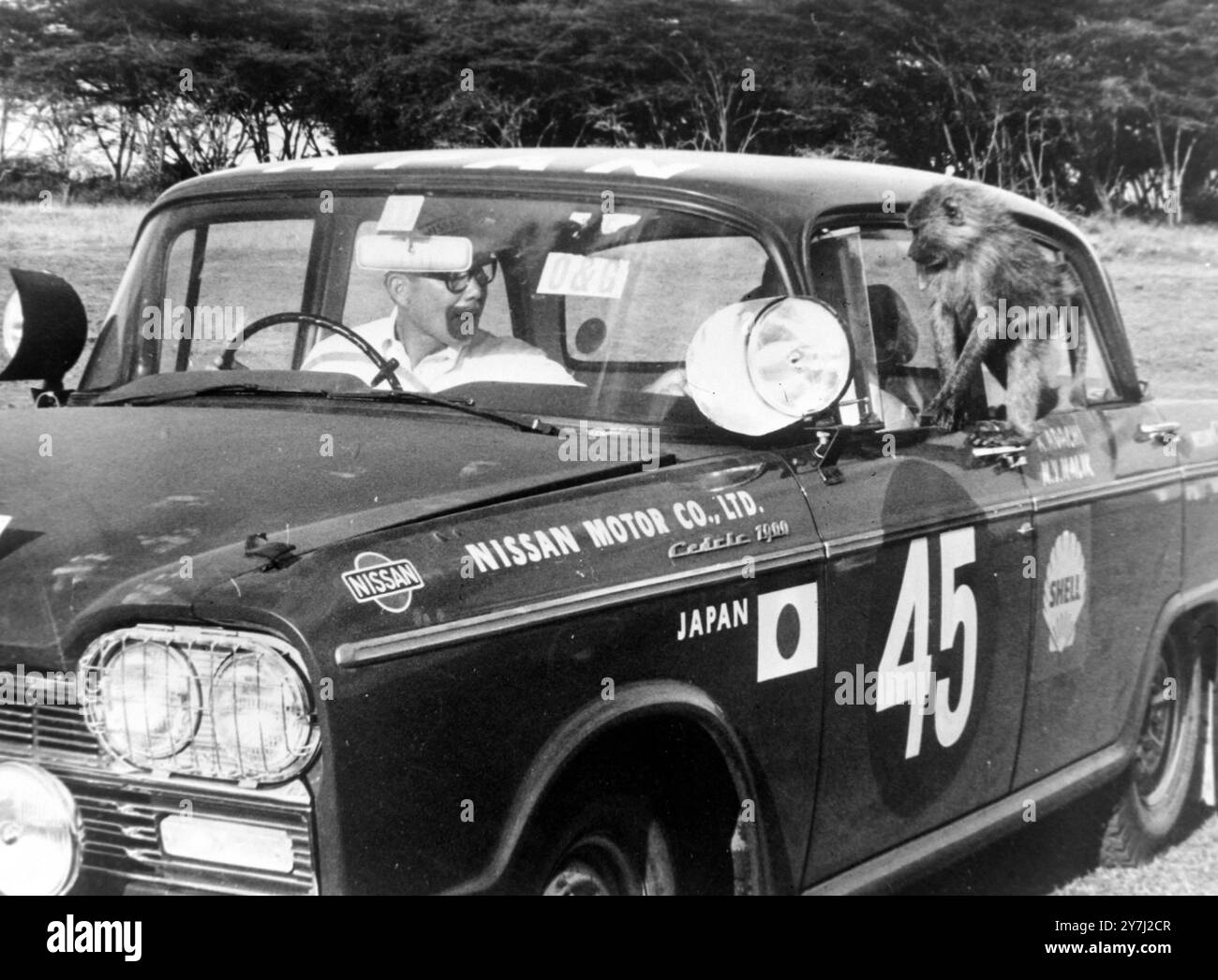 KYOZO ADACHI IN NISSAN CAR IN ATHEN AUF DEM WEG NACH KENIA; 18. MÄRZ 1964 Stockfoto