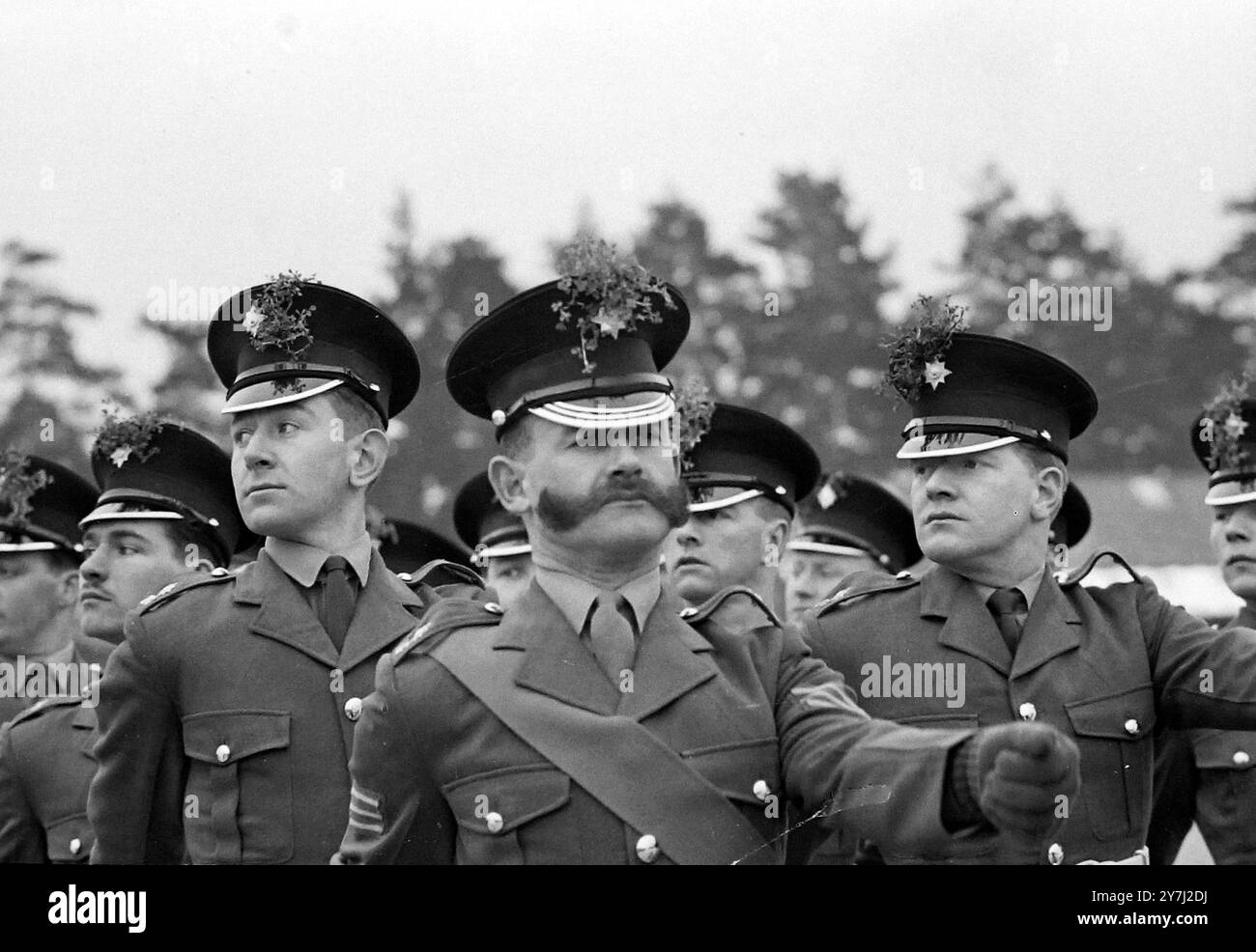 PARADEN - MARKIERER SERGEANT EYES FRONT ALS IRISCHE GARDE GRÜSSEN AM PATRICKS DAY IN PIRBRIGHT, SURREY, ENGLAND - 17. MÄRZ 1964 Stockfoto