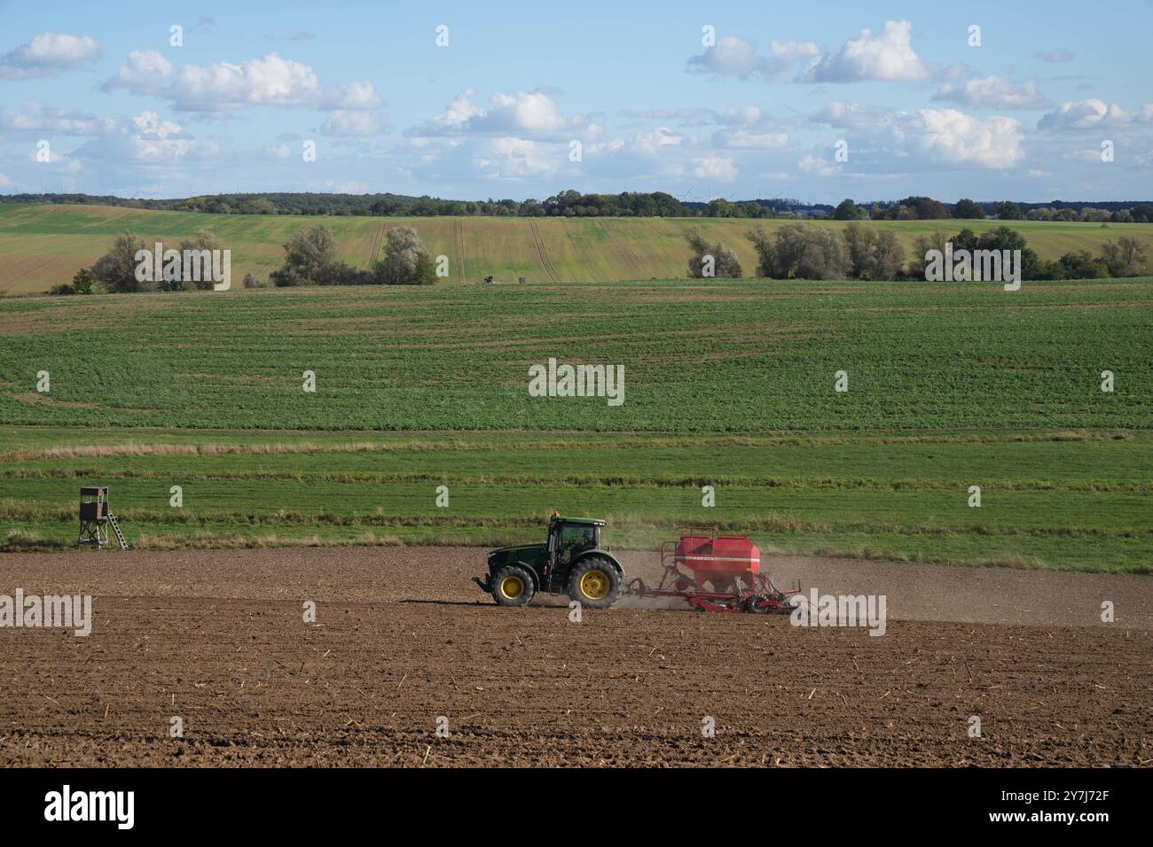 Uckermark GER, Deutschland, 20240921,Uckermark, Traktor auf einem Feld *** Uckermark GER, Deutschland, 20240921,Uckermark, Traktor auf einem Feld Stockfoto