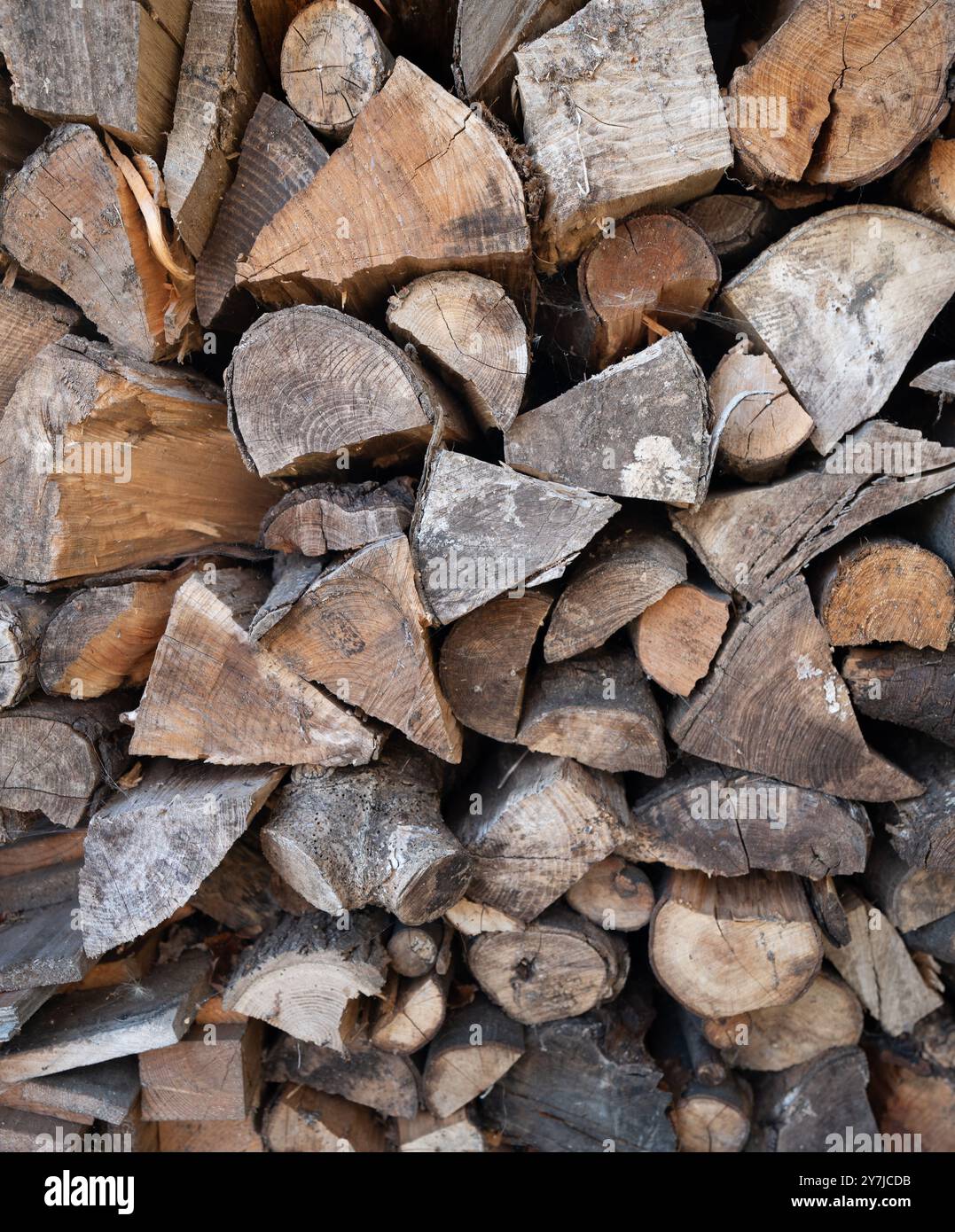 Ein Stapel Brennholz Stockfoto