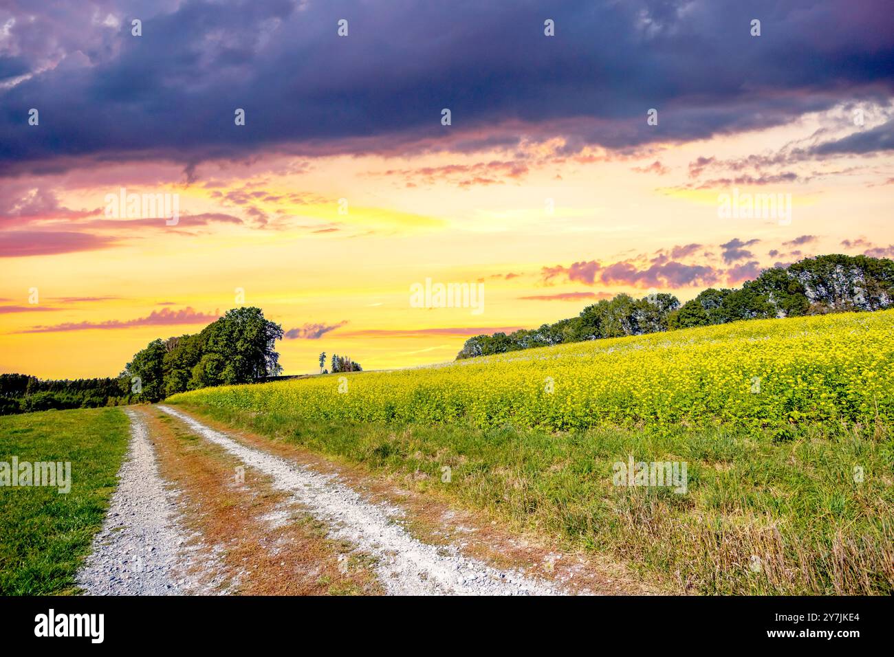 Innerdeutsche Grenze Moedlareuth, Deutschland Stockfoto