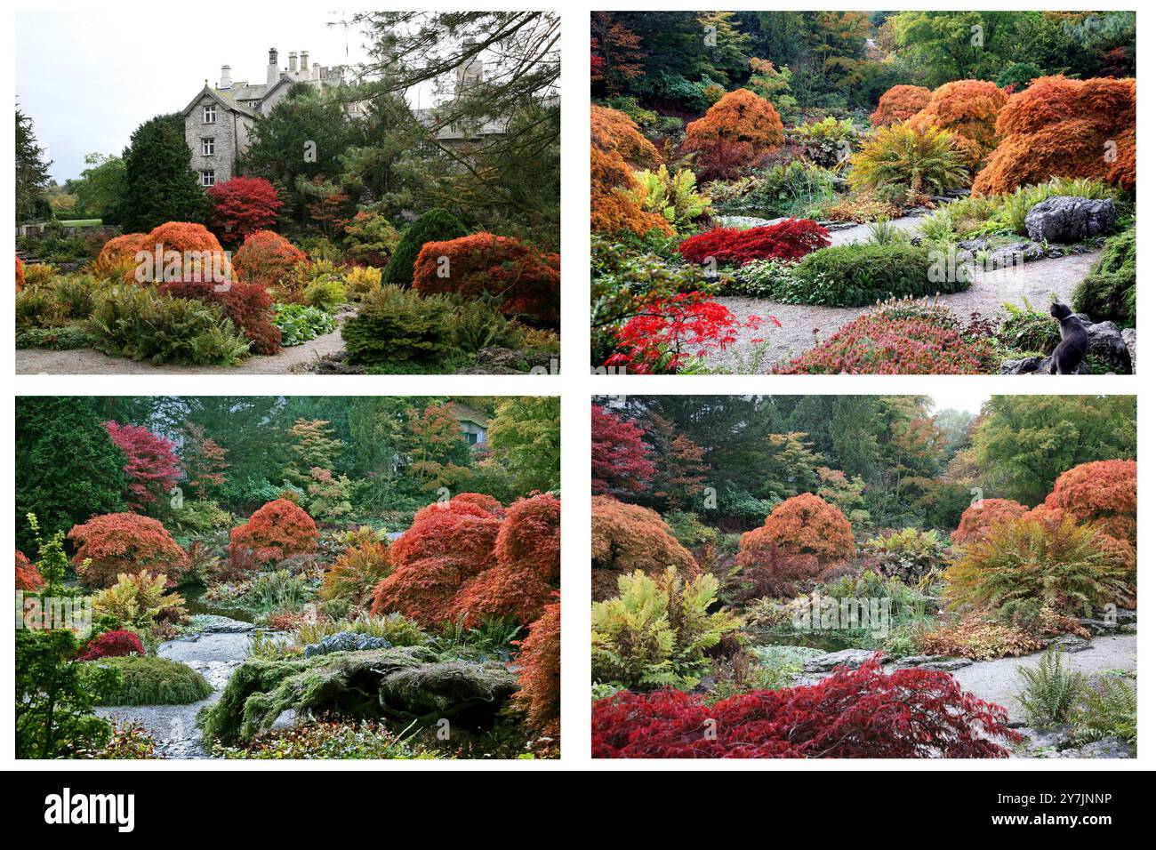 Vier attraktive Gartenszenen in herbstlichen Gold-, Rot-, Orange-, Braun- und Grüntönen Stockfoto