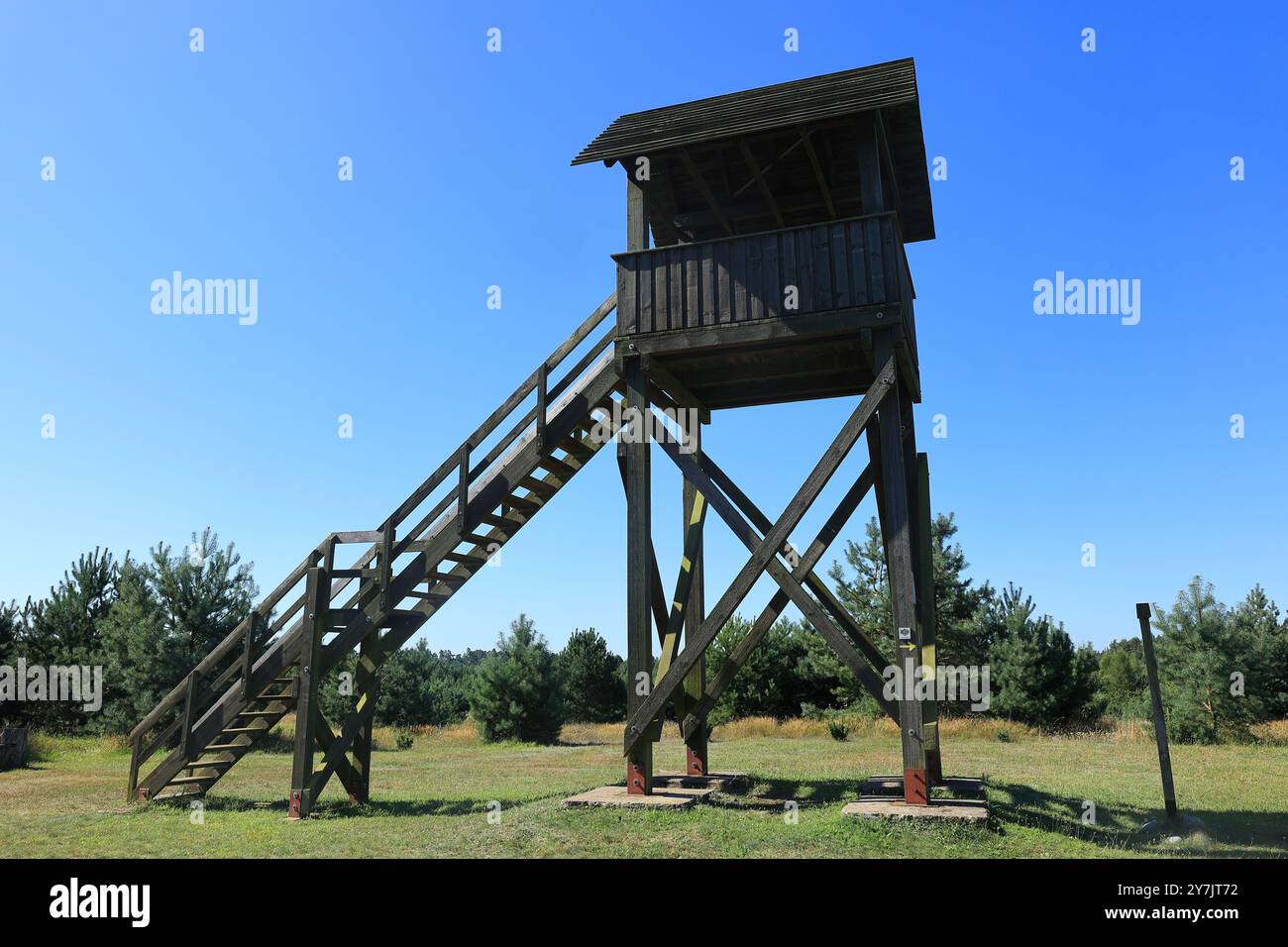 Hölzerner Aussichtsturm bei Zislow in Mecklenburg Stockfoto