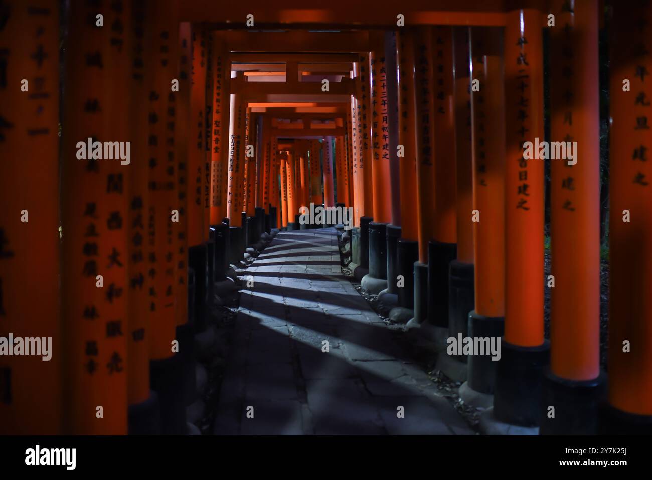 Erkunden Sie den Fushimi Inari Taisha Tempel bei Nacht, Kyoto, Japan Stockfoto