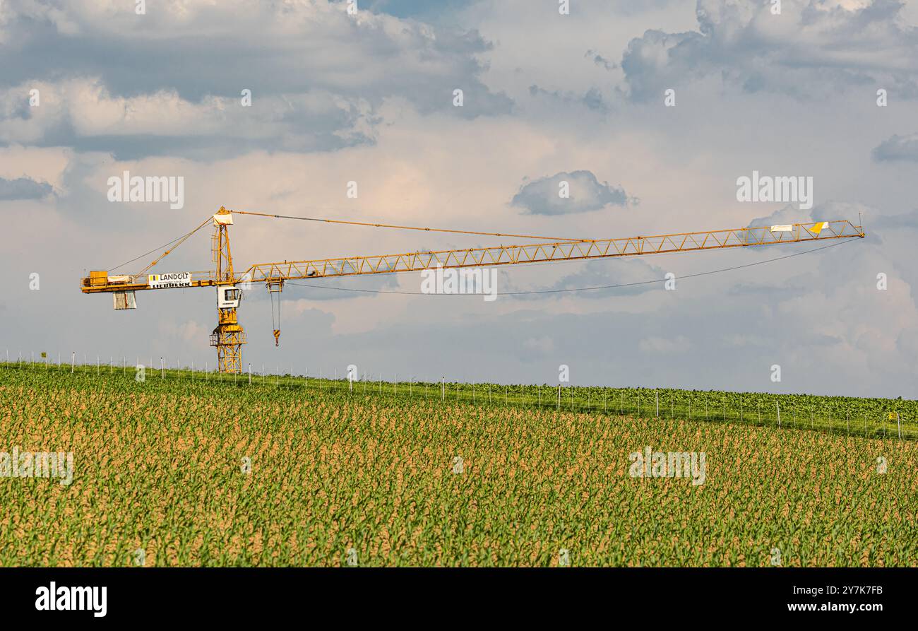 Höri, Schweiz, 3. Juni 2023: Ein Baukran der Baufirma Landolt aus Kleinandelfingen, der auf einer Baustelle im Einsatz ist Stockfoto