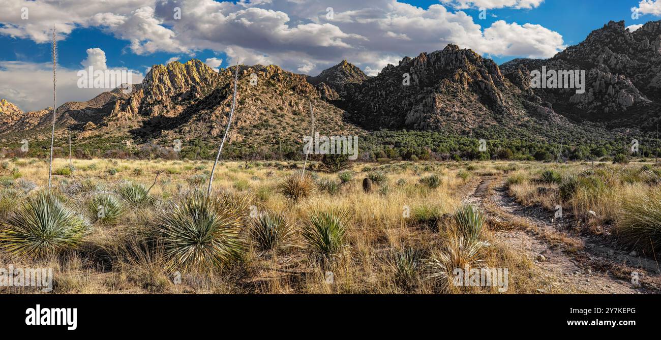 Die Dragoon Mountains, Cochise County, Arizona Stockfoto