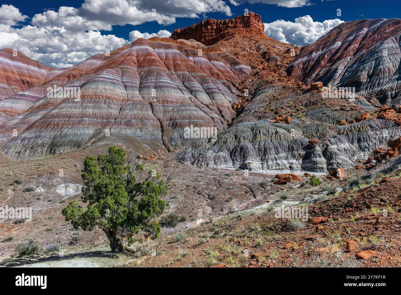 Vermillion Cliffs, Nord-Arizona Stockfoto