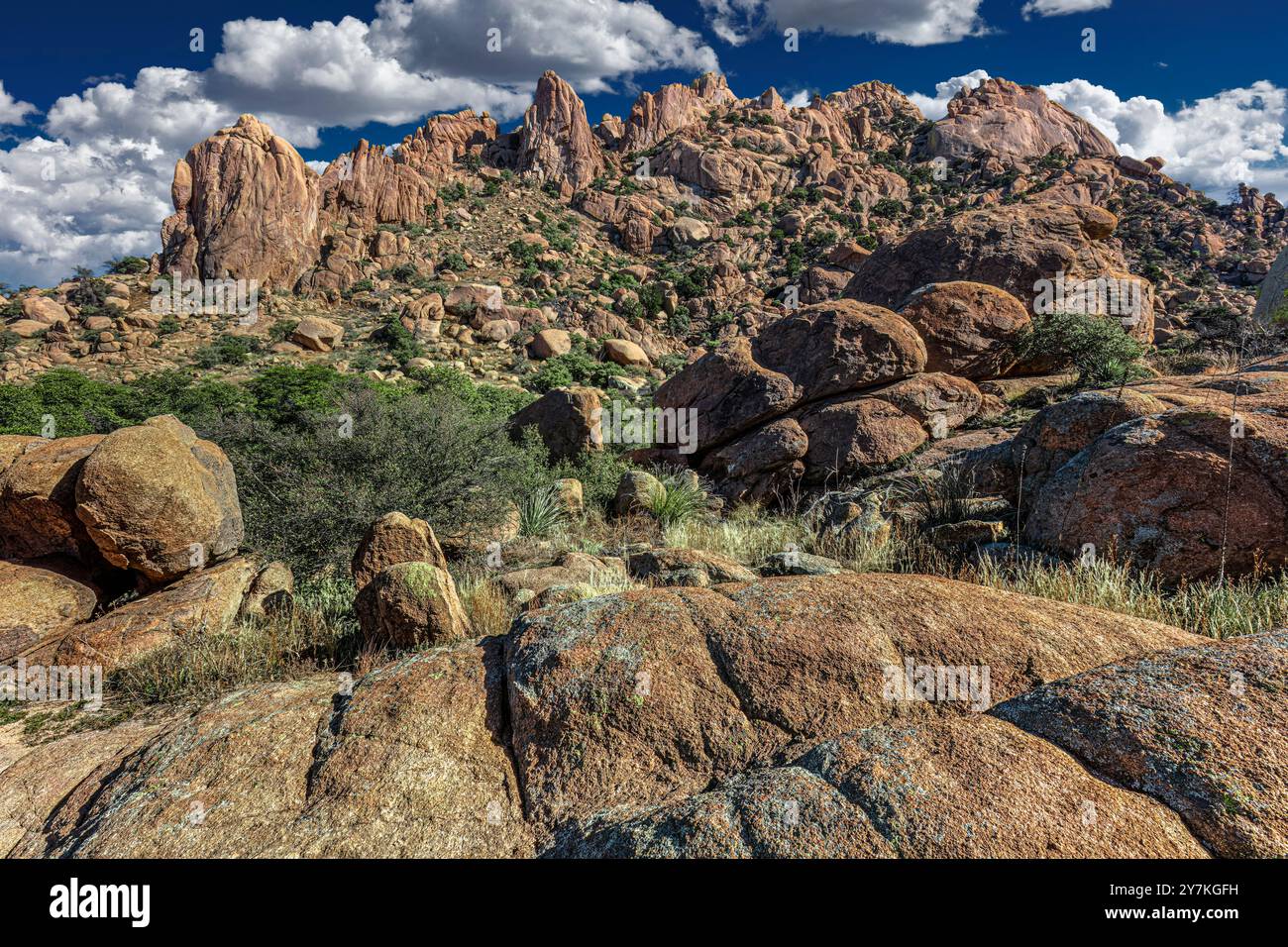 Die Dragoon Mountains, Cochise County, Arizona Stockfoto