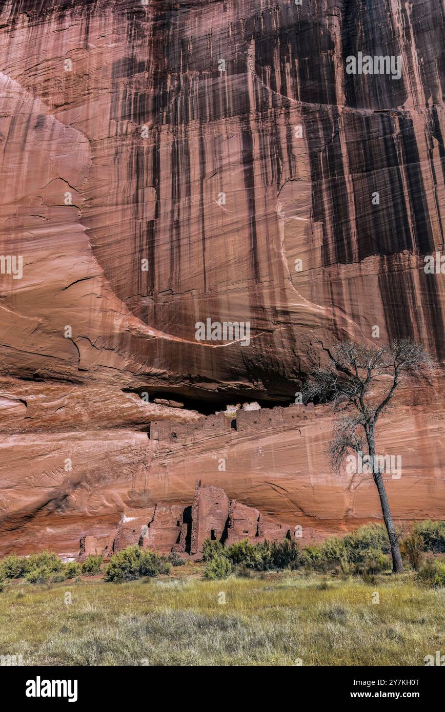 White House Ruin, Canyon de Chelly National Monument, AZ Stockfoto