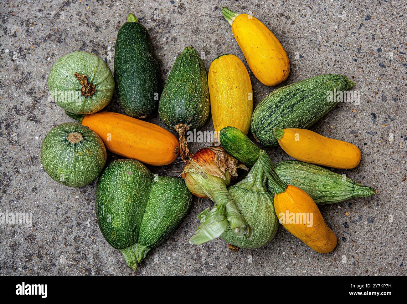Zucchini, Gurke und Zwiebeln Stockfoto
