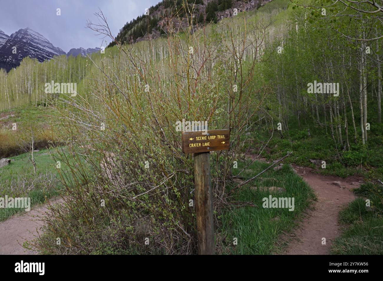 Ein Wegweiser für den Scenic Loop Trail oder Crater Lake, auf einem Wanderweg durch einen Beben von Aspen in den Elk Mountains in Aspen, Colo Stockfoto