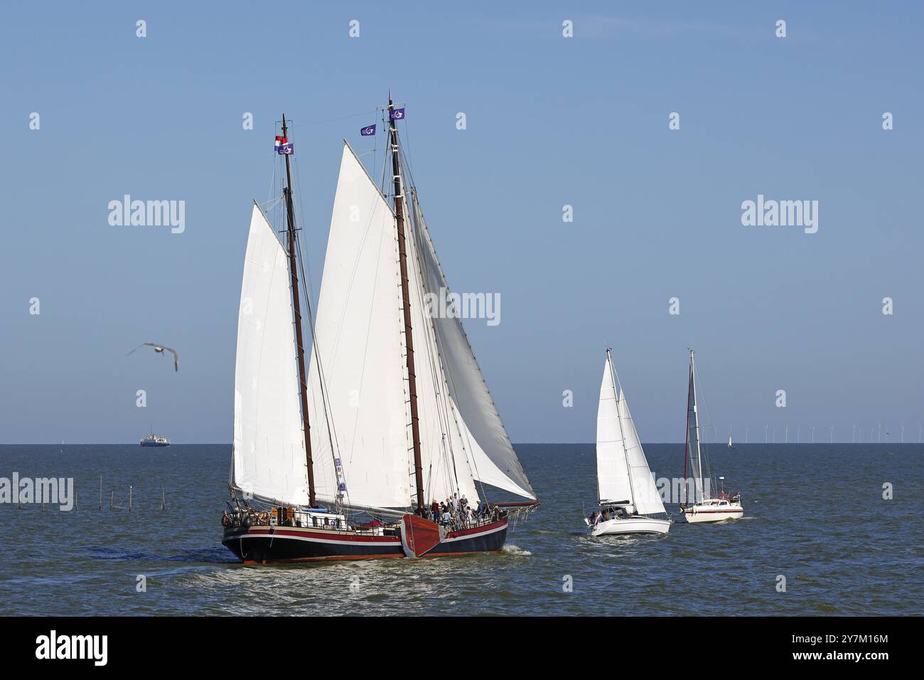 Segelschiffe auf dem IJsselmeer bei Enkhuizen, Nordholland, Westfriesland, Niederlande Stockfoto