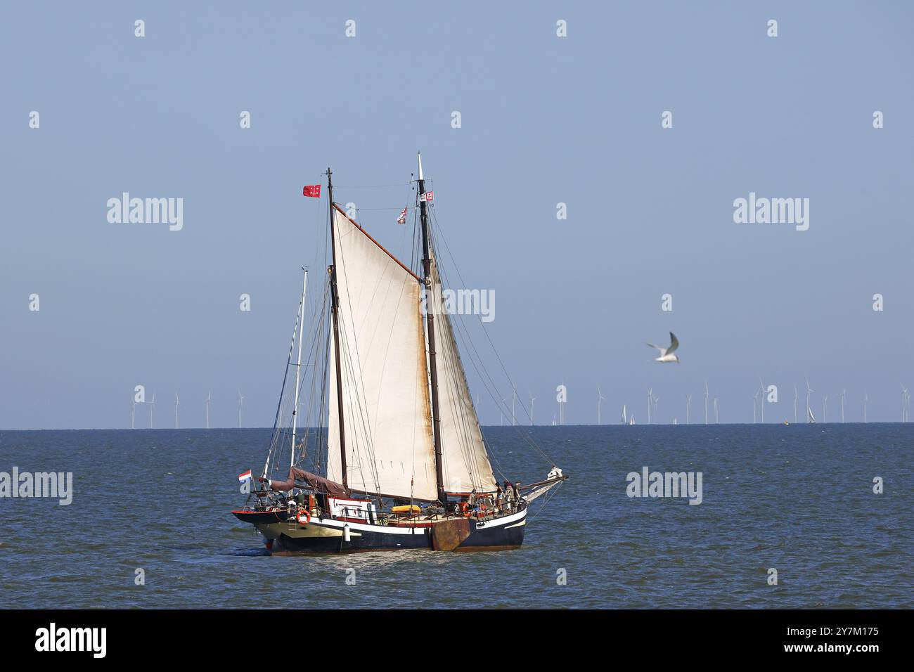 Altes Segelschiff auf dem IJsselmeer bei Enkhuizen, Nordholland, Westfriesland, Niederlande Stockfoto