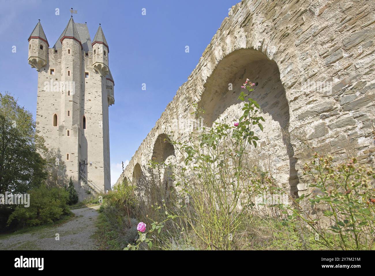 Schloss Nassau erbaut 1093 in Nassau, Rheinland-Pfalz, Deutschland, Europa Stockfoto