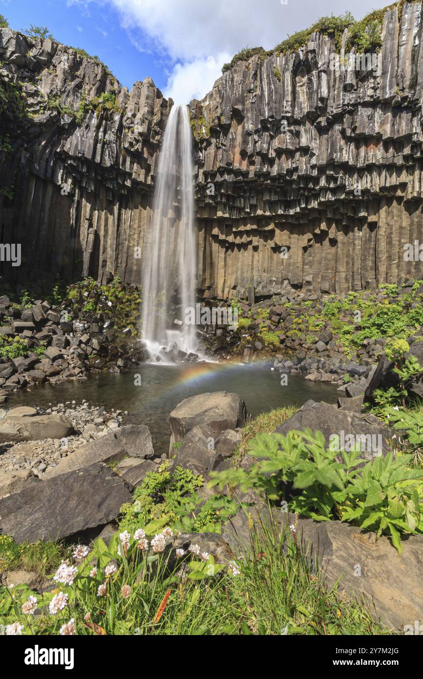 Wasserfall, Basaltsäulen, Sommer, Sonne, Regenbogen, schlucht, Svartifoss, Skaftafell-Nationalpark, Island, Europa Stockfoto