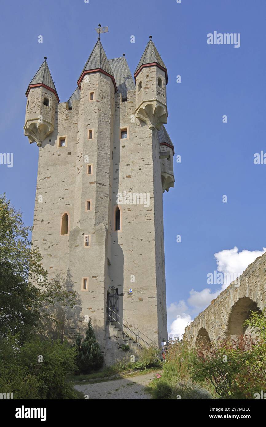 Schloss Nassau erbaut 1093 in Nassau, Rheinland-Pfalz, Deutschland, Europa Stockfoto