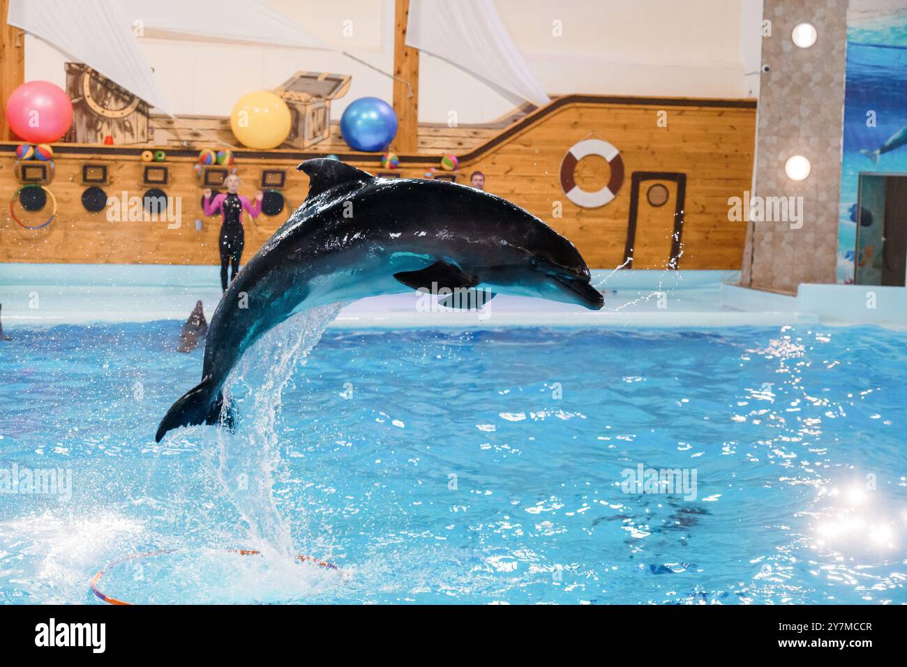 Majestätischer Delfinsprung, der ein begeistertes Publikum in einer Aquatic Arena fesselt. Stockfoto