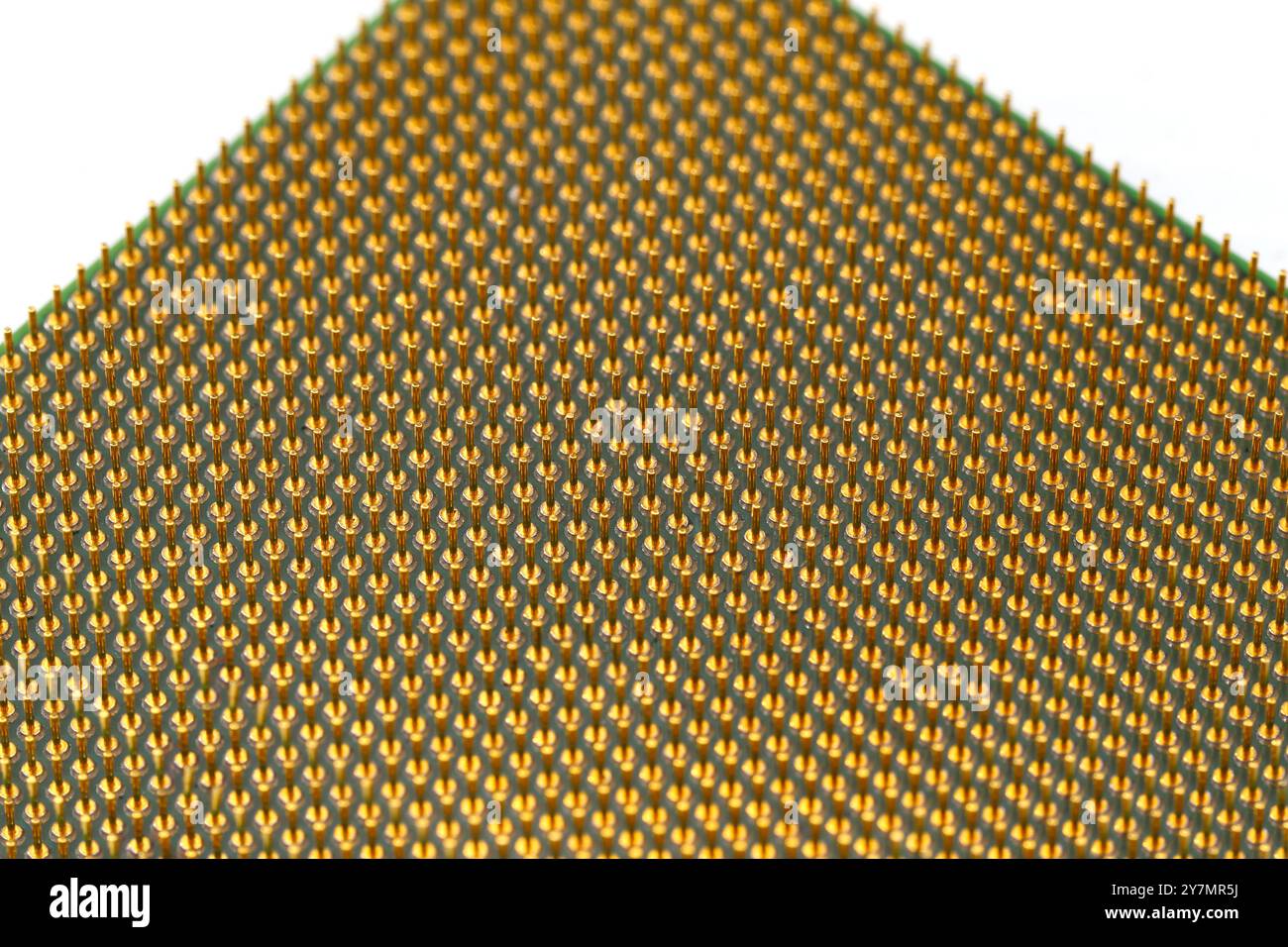 Makro aus cpu-Gold-Pins und Chip, Mikrochip-Prozessor und Computerkomponenten-Technologie. Stockfoto